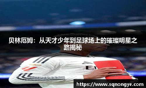 XK星空官网