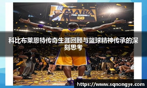 XK星空官网