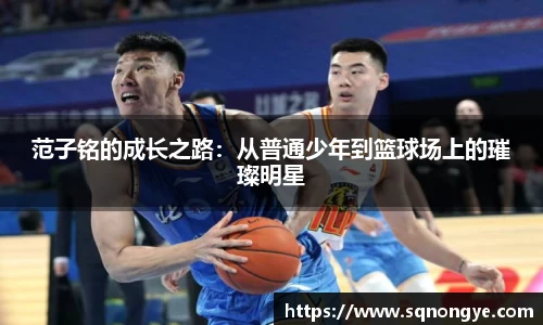 XK体育
