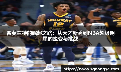 贾莫兰特的崛起之路：从天才新秀到NBA超级明星的蜕变与挑战
